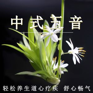 寡妇一夜爽毛片
